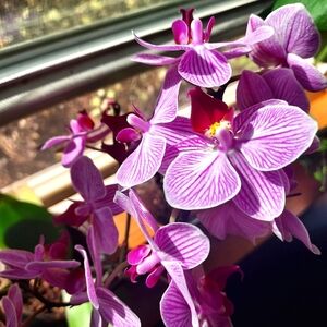 Meet your Posher, June